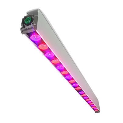 Illuminazione per l'orticoltura - GreenPower - Philips Horticulture LED Solutions - LED