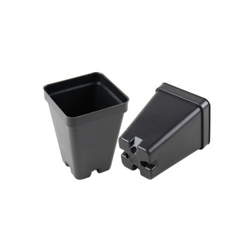 Vaso in plastica - SCP-250 - Ainong USA Corporation - quadrato / nero / riutilizzabile