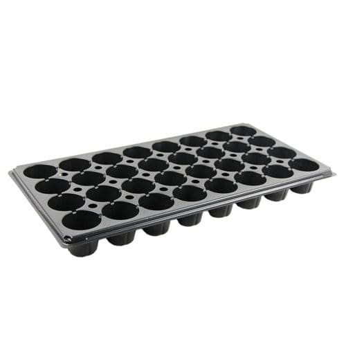 Seminiera alveolare in polistirene - 32M - Ainong USA Corporation - riutilizzabile / rotonda