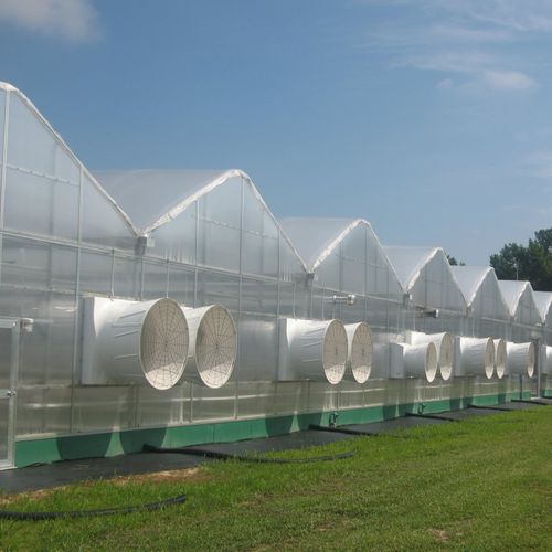 Sistema di ventilazione per serra - De Cloet Greenhouse Manufacturing Ltd - da tetto / sul colmo