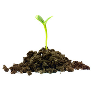 Substrato colturale torba - FlexiMix® - Grow-Tech LLC - sfuso