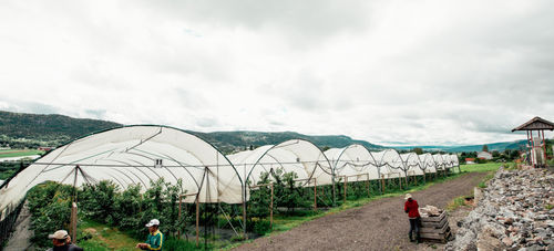 Serra multitunnel - Haygrove Tunnels - in plastica