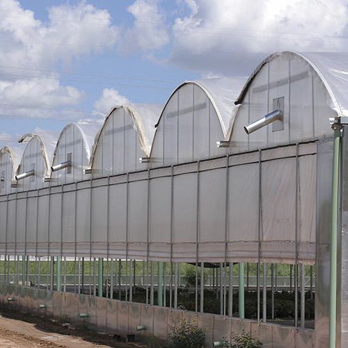 Serra a campata multipla - SQ - Rough Brothers Inc - in plastica / con grondaia