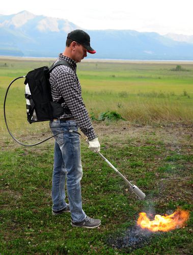 Diserbatrice senza prodotti chimici - BP223SVC - Flame Engineering, Inc. - a fiamma / portatile