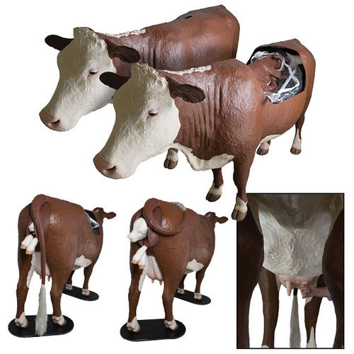 Simulatore veterinario per distocia - Hereford - Veterinary Simulator Industries Ltd. - per cure / per mucche / di corpo intero