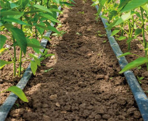 Tubo flessibile - Y series - ARDENT PLASTIK SAN.VE TIC.LTD.STI - di irrigazione / in HDPE / con ugello gocciolatore