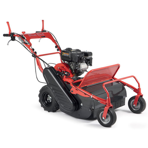 Trinciatrice con guida da terra - FM 600 - BLUE BIRD INDUSTRIES FABBRICA MOTORI Srl - a martelli