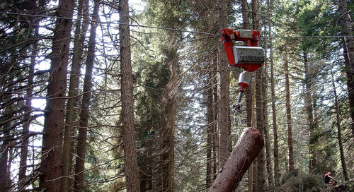 Carrello-paranco forestale - Ht 30	 - GREIFENBERG TELEFERICHE Sas - per sistema a cavo