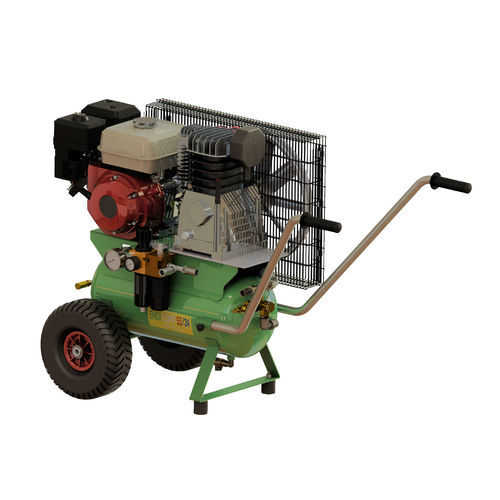 Compressore d'aria - EnerComp 55/24 - MINELLI ELETTROMECCANICA - mobile / con motore a benzina
