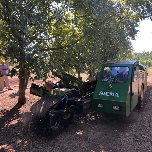 Scuotitore per alberi per frutta a guscio - N3 - SICMA srl - semovente / meccanico