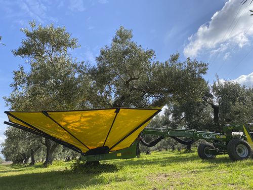 Scuotitore per alberi per olive - TR80 - SICMA srl - trainato / idraulico / per alberi bassi
