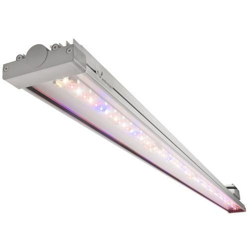 Illuminazione per serra - AE100 - Ambralight - per coltura verticale / per camera di coltura / per floricoltura