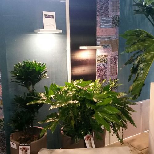 Illuminazione per interni - DIANA - Ambralight - per l'orticoltura / LED