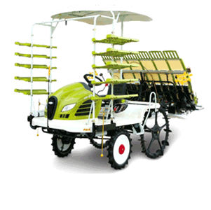 Trapiantatrice per riso - ARP 60D series - Asia Technology Co., Ltd. - automatica / semovente