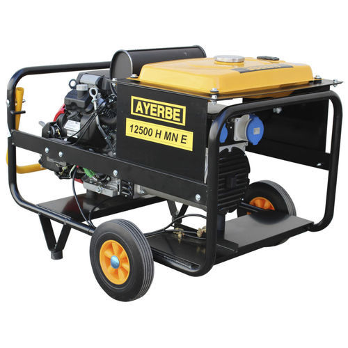 Centrale elettrica a benzina - 12500 – H – MN - Ayerbe - mobile / 50 Hz / agricola
