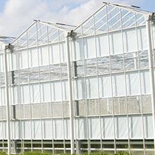 Serra venlo - Nobutec Tuinbouwprojekten B.V. - in vetro