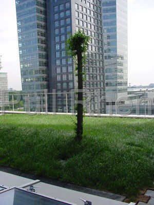 Substrato colturale perlite - Greenroof - Pull Rhenen - sfuso / poroso