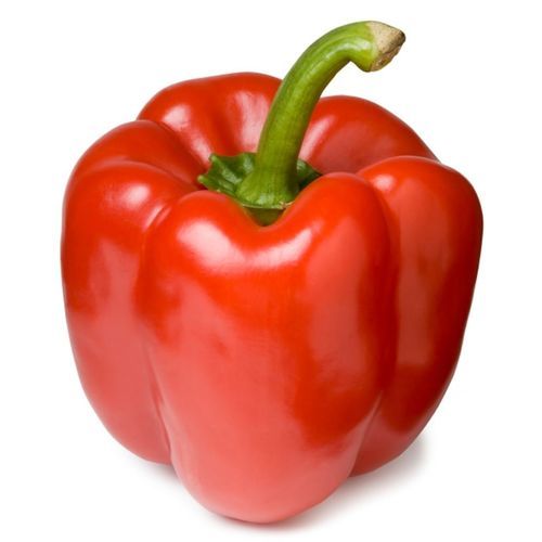 Semi di peperone resistente al virus del mosaico - TOBBY F-1 - PanDia Seeds - resistente all'oidio / ibrido / rosso