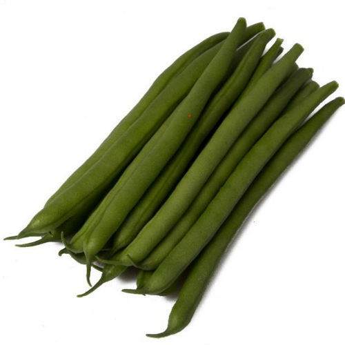 Semi di fava precoce - Kysia - Tozer Seeds Ltd - resistente al virus del mosaico / verde