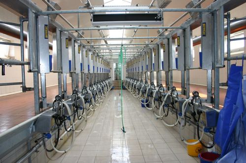Sala di mungitura per mucche - FARMTEC a.s. - a spina di pesce / uscita rapida