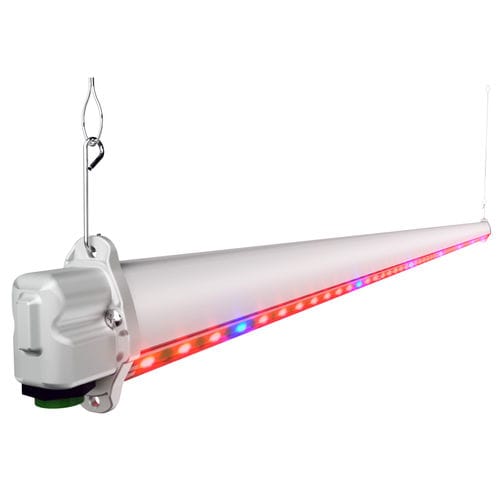Illuminazione per l'orticoltura - HORTURION LED IL - BLV Licht- und Vakuumtechnik GmbH - LED / rossa / blu