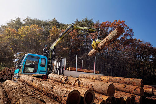 Gru forestale montata su camion - LOGLIFT 61Z - HIAB AB - con braccio articolato
