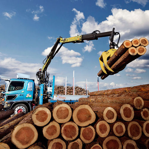 Gru forestale montata su camion - LOGLIFT 82Z series - HIAB AB - con braccio articolato