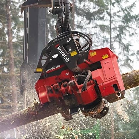 Testa di abbattimento con carico - HTH623C LP - Waratah - con sramatrice