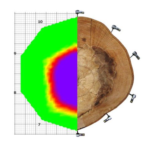 Tomografo sonoro per albero - ArborSonic 3D - Fakopp Bt