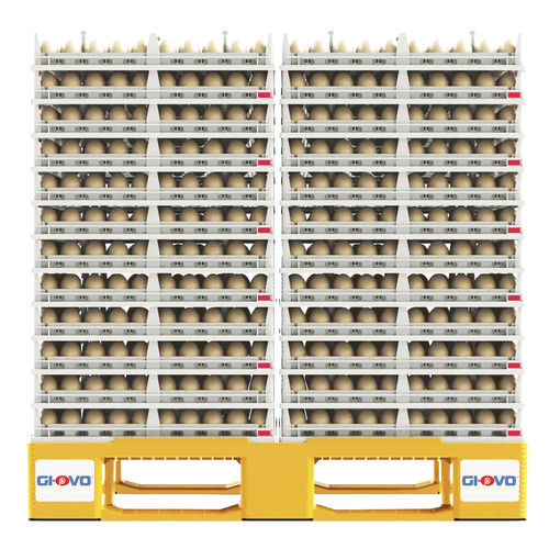 Vassoio porta uova per passaggio - HatchCargoSystem - GI-OVO B.V. - per uova di gallina / in plastica