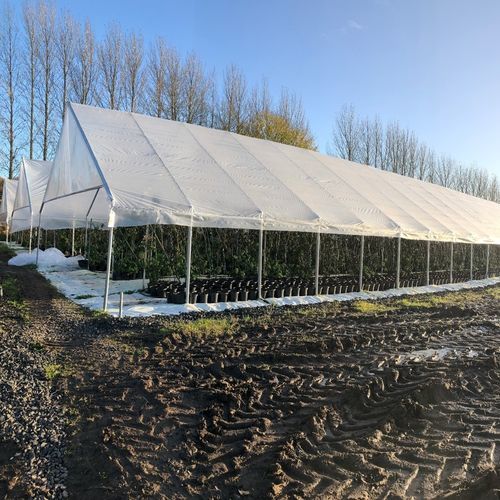 Serra monotunnel - Alpha Houses - Osprey Tunnels Ltd - in plastica