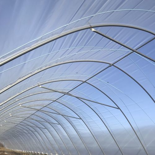 Telone di protezione per serra - PolyLUX - Osprey Tunnels Ltd - anti-UV / termico / trasparente