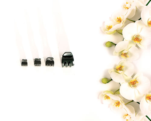 Clip ad anello per supporto piante in plastica - Van Nifterik Holland B.V. - per orchidee / con ganci
