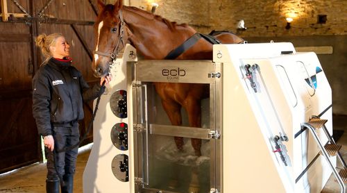 Spa per cavalli ad acqua fredda - PREMIER SPA - ECB Equine Spa - ad acqua calda / con acqua salata