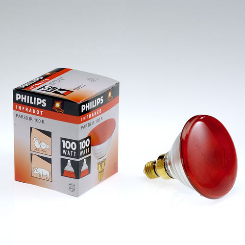Lampadina riscaldante per suinetti - 170 P - ferrzootecnia - a infrarossi