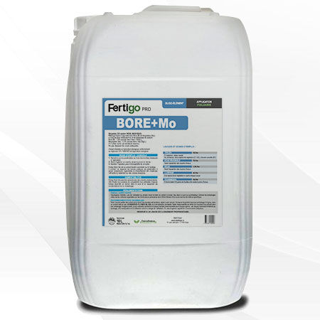 Concime minerale - Fertigo Pro – BORE + MO - Fertigo - con oligoelementi / ad alto tenore in boro / liquido