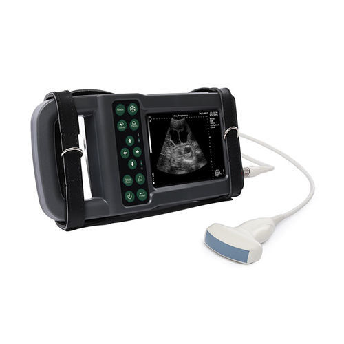 Ecografo veterinario portatile - KX5600L - Xuzhou Kaixin Electronic Instrument Co., Ltd - per suini / per cani / canino