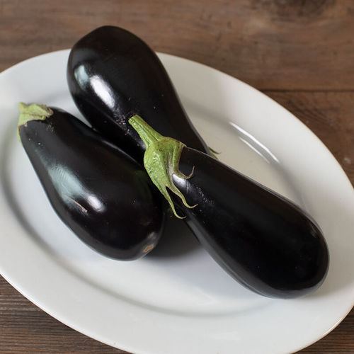 Semi di melanzana annuale - Gaudi - johnnyseeds - ibrido