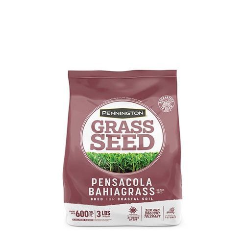Sementi da prato - PENSACOLA BAHIAGRASS - pennington