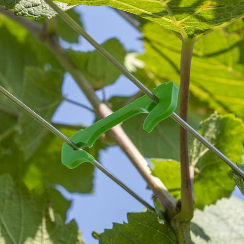 Cambretta per vigneto - SGR135B - LaCruz S.r.l. - biodegradabile