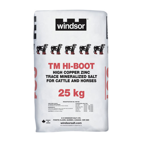 Integratore alimentare per animali - 0962 - windsorsalt - per bovini / per cavalli / sali minerali
