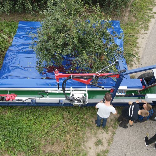 Scuotitore per alberi per olive - G-004 - JAGODA JPS Agromachines - montato su trattore / idraulico / per alberi bassi
