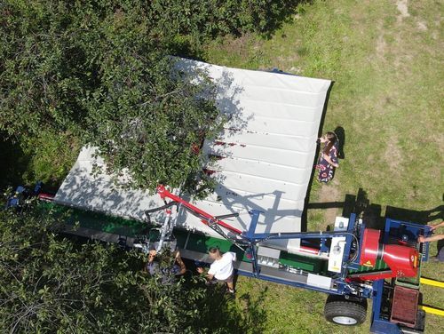 Raccoglitrice per frutta - G-004 Pro - JAGODA JPS Agromachines - per nocciole / per mandorle / per prugne