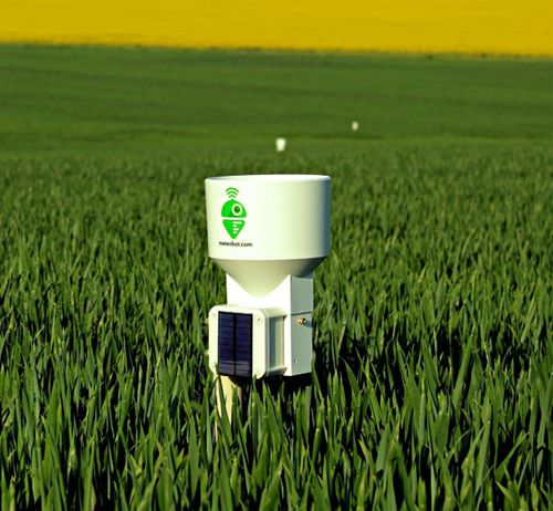Pluviometro connesso - Meteobot® Micro - Prointegra Ltd. - elettronico / wireless / con registratore di dati