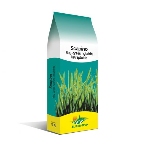 Foraggio di loietto perenne - Scapino - eliard-spcp - per alimentazione animale / resistente al freddo / ibrido