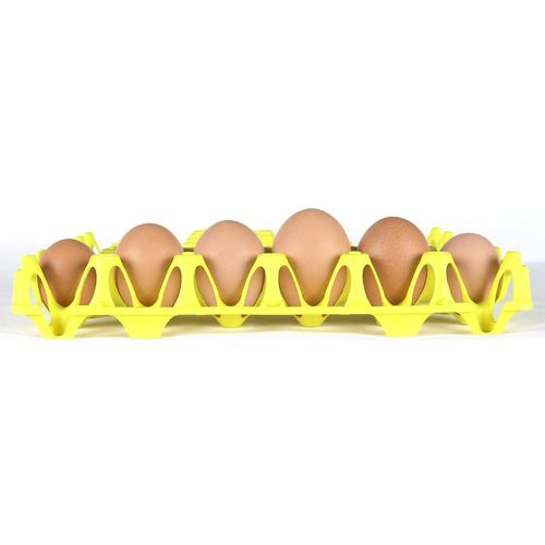 Vassoio di incubazione per passaggio - ecoplasticsystem - per uova di gallina / in plastica