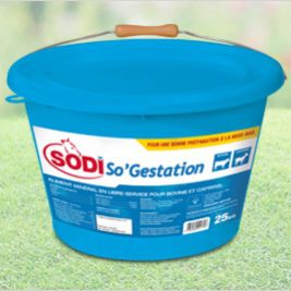 Blocco da leccare per bovini - SodiSo'Gestation - salins-agri - per caprini / con oligoelementi / con vitamine