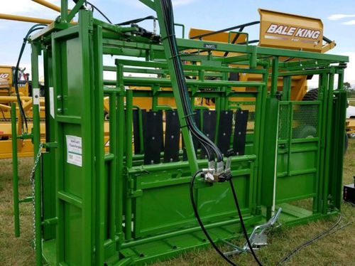 Gabbia di trattamento per bovini - Realtuff - idraulica