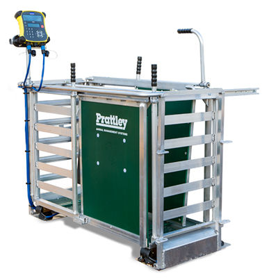 Bilancia per pecore - prattley - digitale / a piattaforma / con gabbia