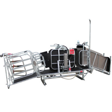 Gabbia di trattamento per ovini - Crutch and Weigh Combo - farmquip